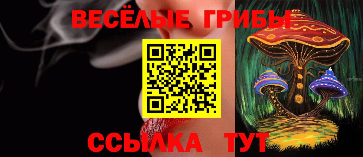 Галлюциногенные грибы Cubensis Кострома