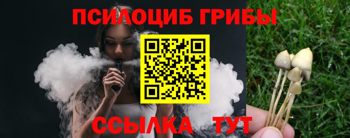 Галлюциногенные грибы Psilocybine cubensis  Галлюциногенные грибы Psilocybe  Вход с VPN  Кострома 